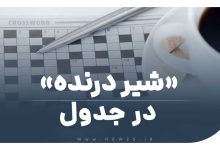 شیر درنده در جدول