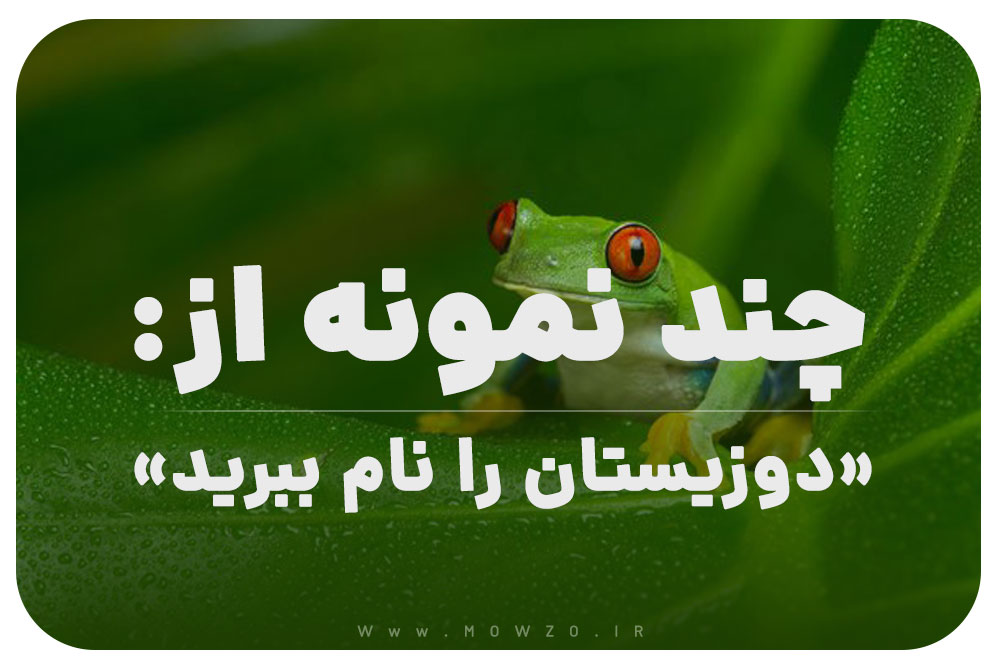 چند نمونه از دوزیستان را نام ببرید کلاس سوم