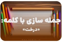 15 جمله سازی با کلمه (درخت) برای کلاس دوم