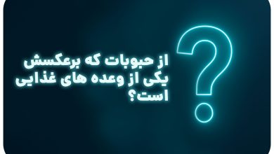 معما با جواب | از حبوبات که برعکسش یکی از وعده های غذایی است