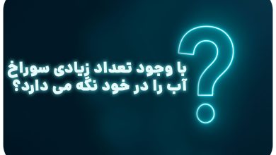معما با جواب | با وجود تعداد زیادی سوراخ، آب را در خود نگه می دارد