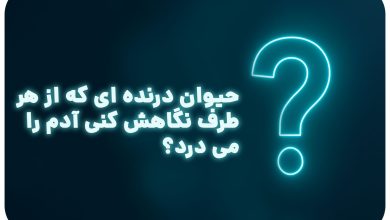 معما با جواب | حیوان درنده ای که از هر طرف نگاهش کنی آدم را می درد