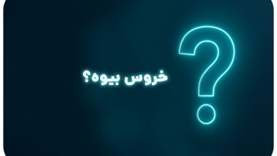 معما با جواب | خروس بیوه