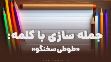 15 جمله سازی با کلمه (طوطی سخنگو) برای کلاس دوم