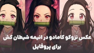 عکس نزوکو کامادو در انیمه شیطان کش برای پروفایل