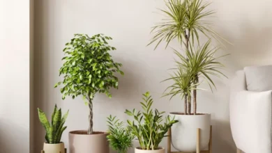 فروشگاه اینترنتی آی فلور