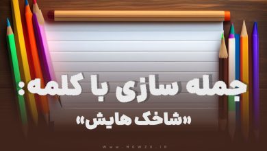 15 جمله سازی با کلمه (شاخک هایش) برای کلاس دوم