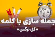 15 جمله سازی با کلمه (گل نرگس) برای کلاس سوم