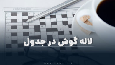 لاله گوش در جدول